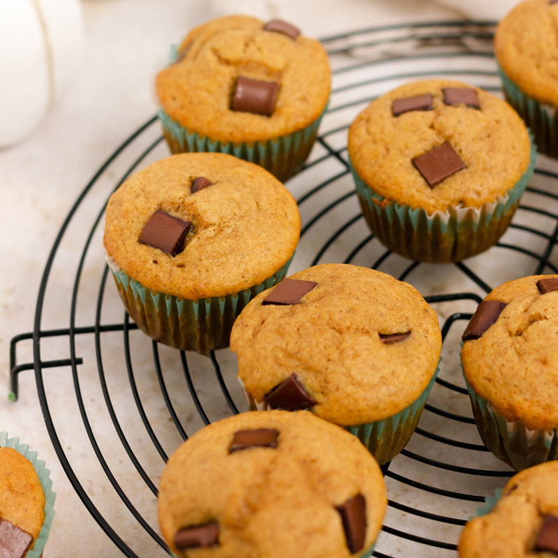 Low FODMAP Pumpkin Chocolate Chip Muffins